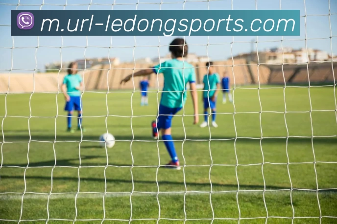 乐动体育全站App